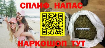 дживик Тара