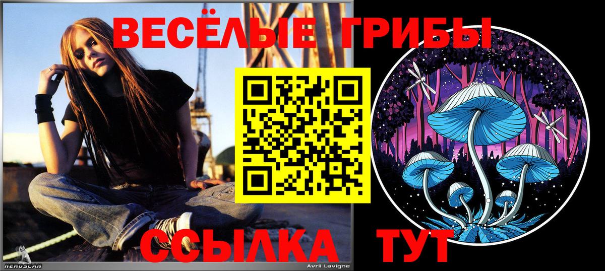 Астрахань  Галлюциногенные грибы Magic Shrooms  Вход с VPN 