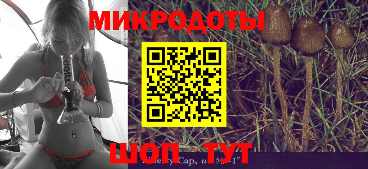 Псилоцибиновые грибы мухоморы Астрахань